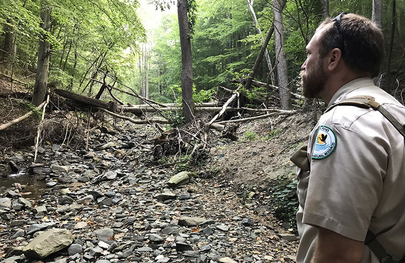 Damaged hiking trail near Bloede Dam